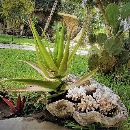 Fortamu Lady D House Watamu Kültér fotó