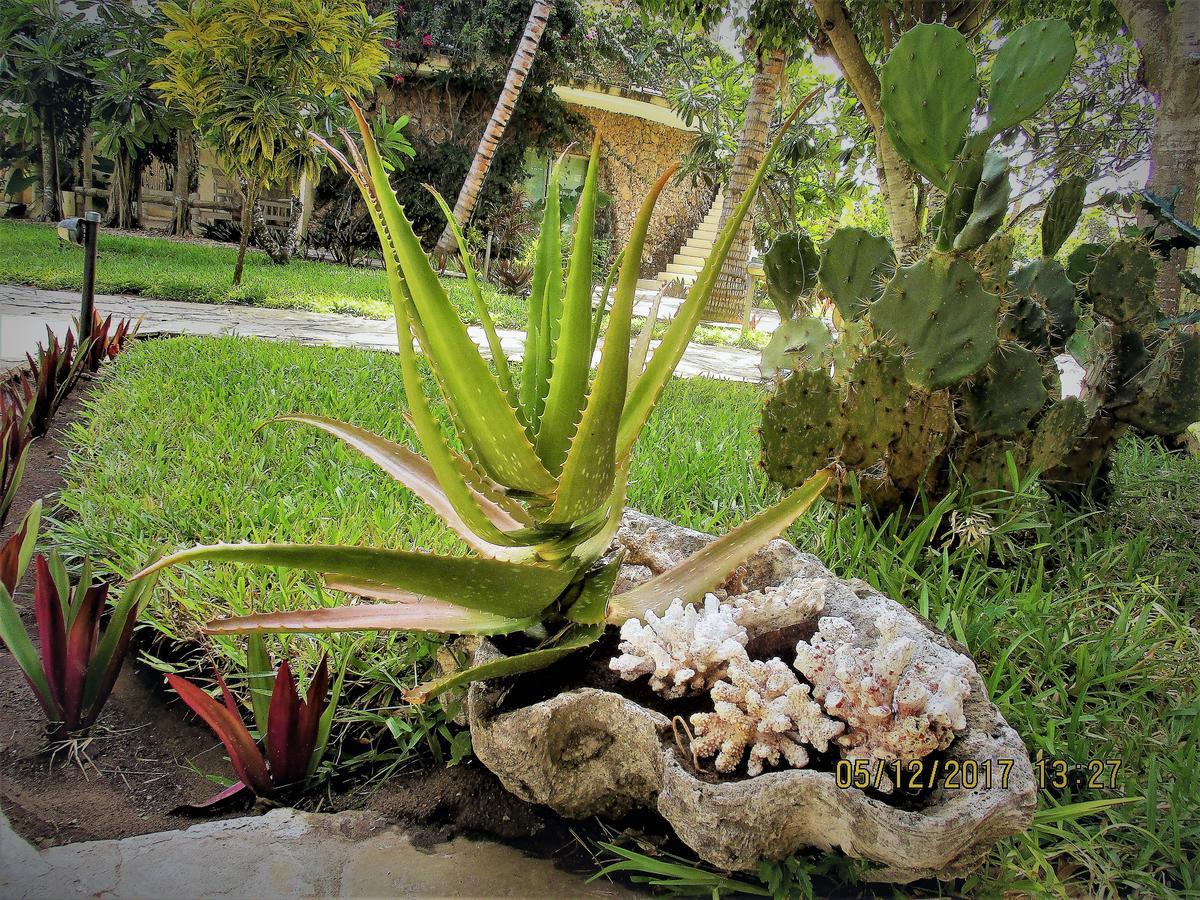 Fortamu Lady D House Watamu Kültér fotó